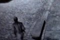 Câmera flagra homem nu segurando gato em via pública, em Arapiraca