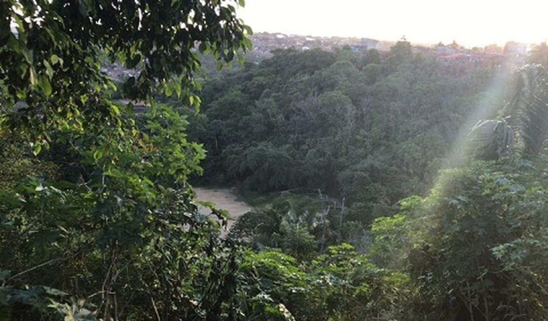 Corpo de homem é encontrado parcialmente enterrado em mata fechada