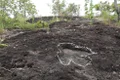 Pesquisa inédita descobre pegadas de dinossauros de mais de 100 milhões de anos na Amazônia