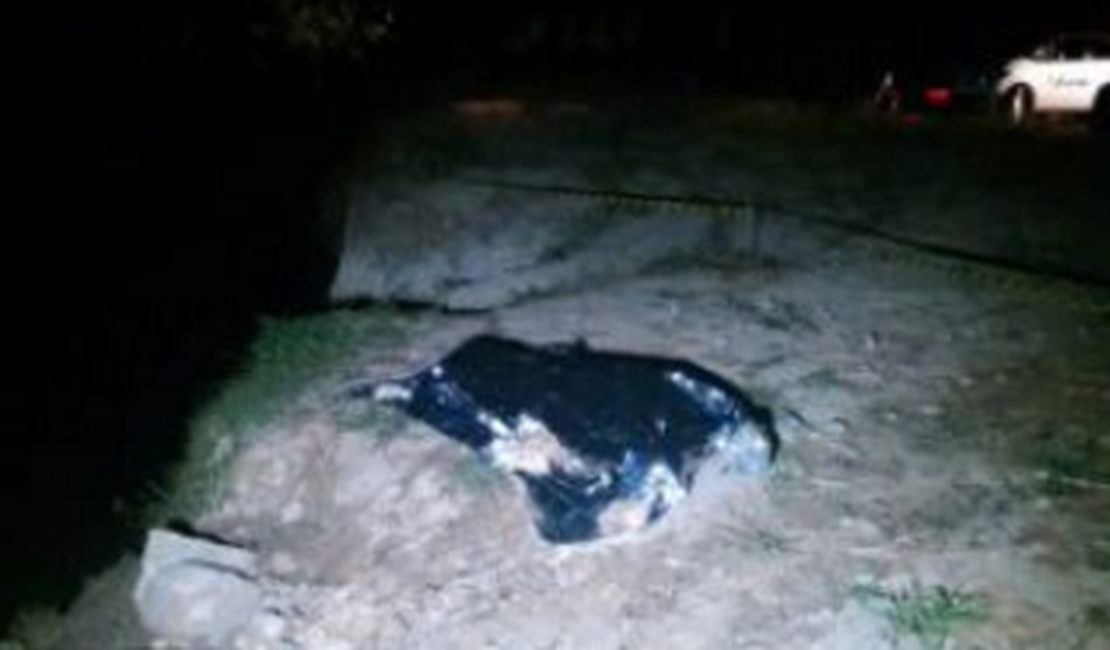 Adolescente é encontrado morto em Rio Largo