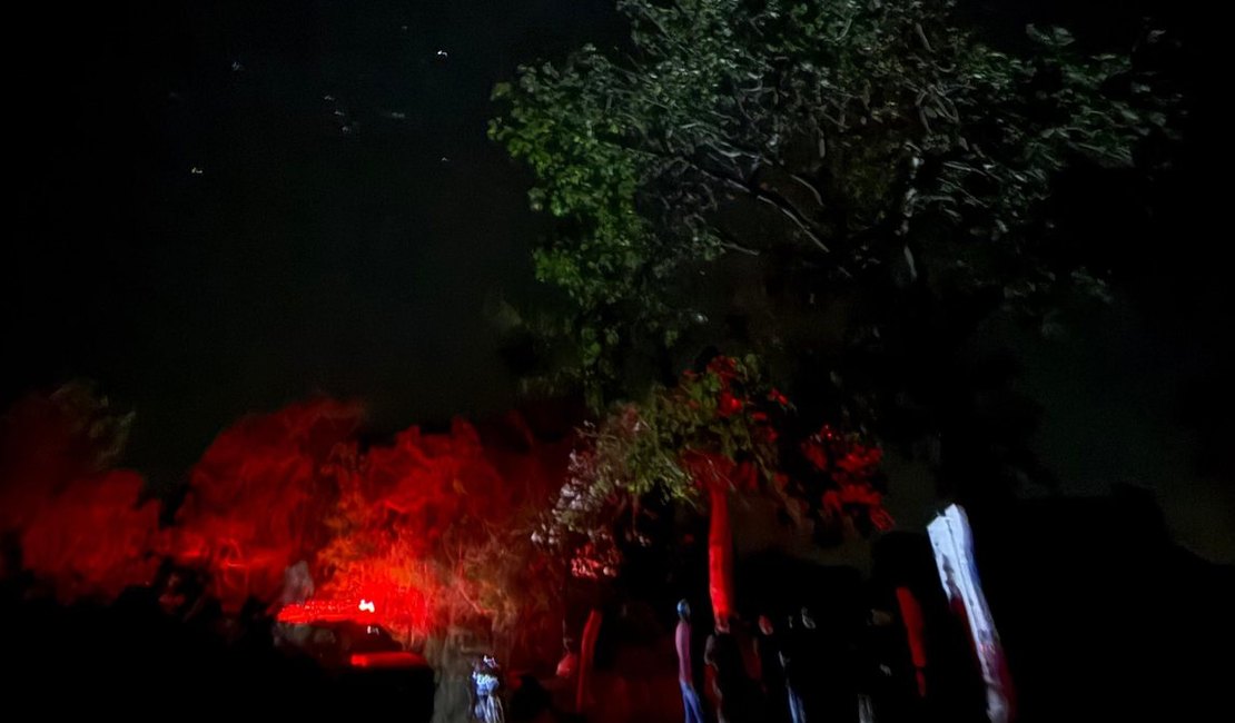 Polícia investiga morte de casal em Senador Rui Palmeira
