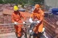 Jacaré é resgatado de laje de residência em Arapiraca