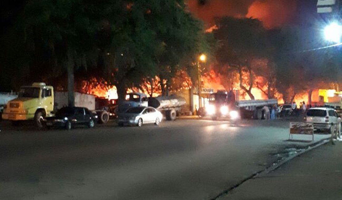 Em Palmeira dos Índios incêndio destrói área de vegetação