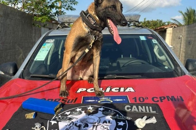 Polícia Militar cumpre mandado judicial e efetua prisões por tráfico de drogas no Litoral Sul