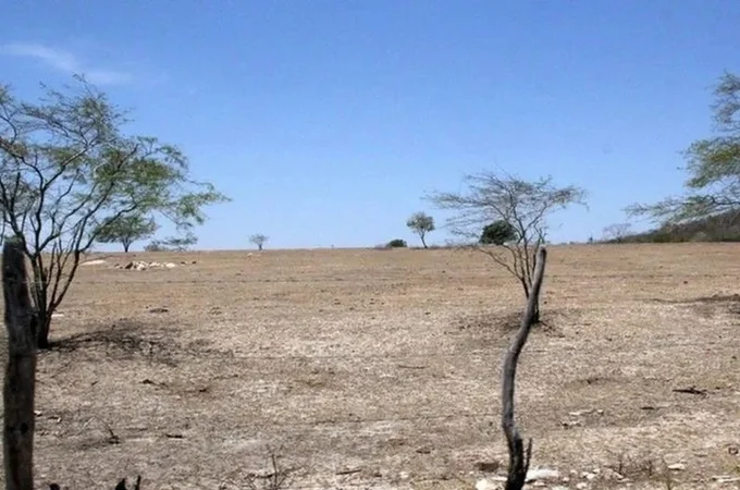 Alagoas foi um dos estados que teve agravamento da seca em abril, diz agência