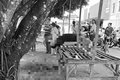 Homem é morto a tiros no povoado Botafogo, em Coruripe