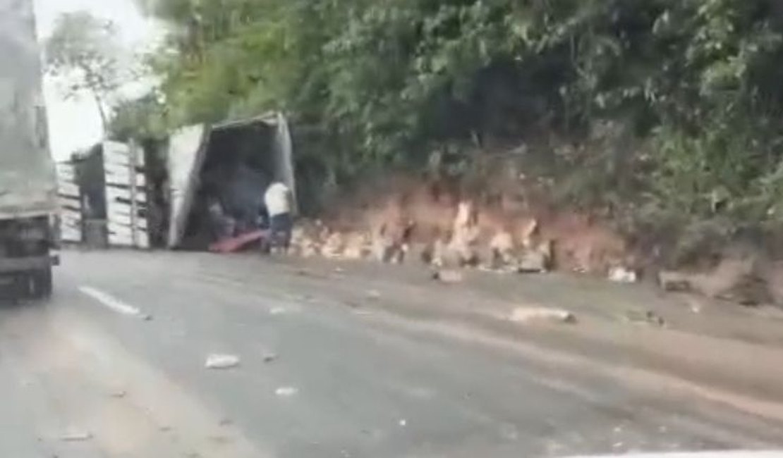 Caminhão carregado com peças de queijo tomba na BR-101, em Flexeiras; carga é furtada