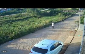 Invasão a residências no bairro Nilo Coelho