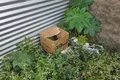 Recém-nascido é resgatado ainda com a placenta em caixa de papelão em MG
