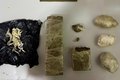 Polícia Militar apreende 1,2 Kg de drogas após abordagem no Sertão alagoano
