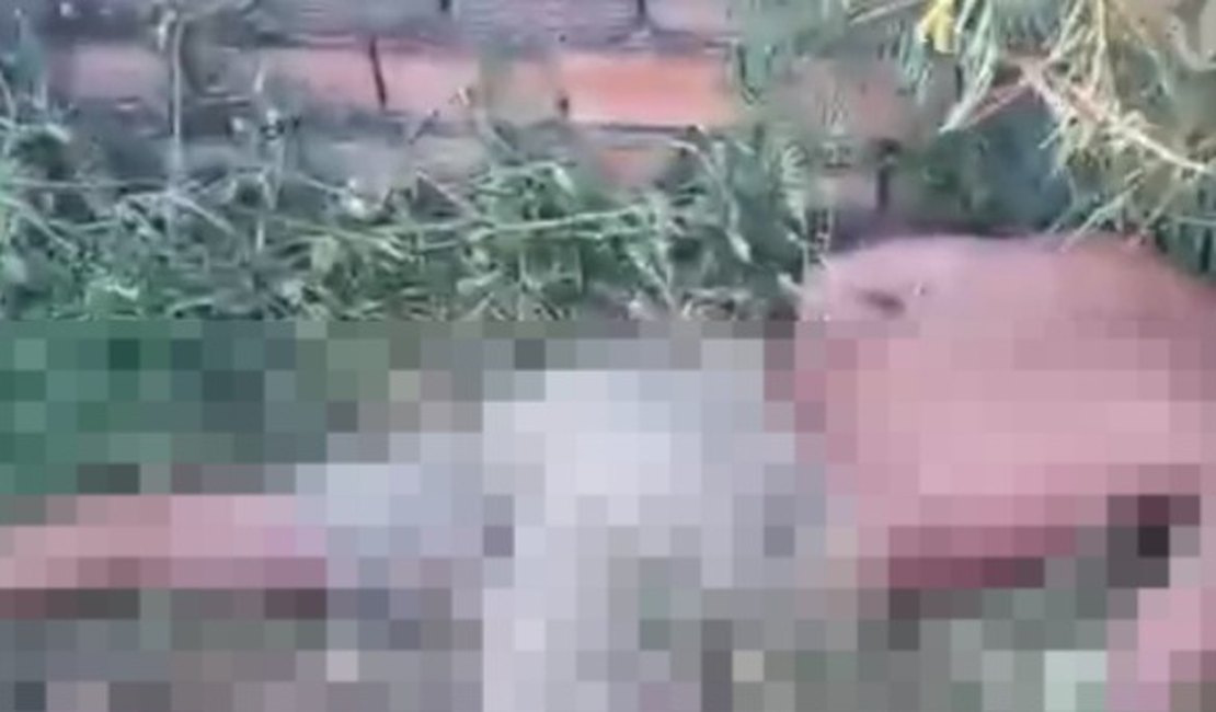 Homem é encontrado morto próximo a açude no Sítio Capim, em Arapiraca