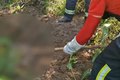 Corpo é encontrado em área de mata em São Miguel dos Milagres; vítima pode ser uma das cinco pessoas desaparecidas na região