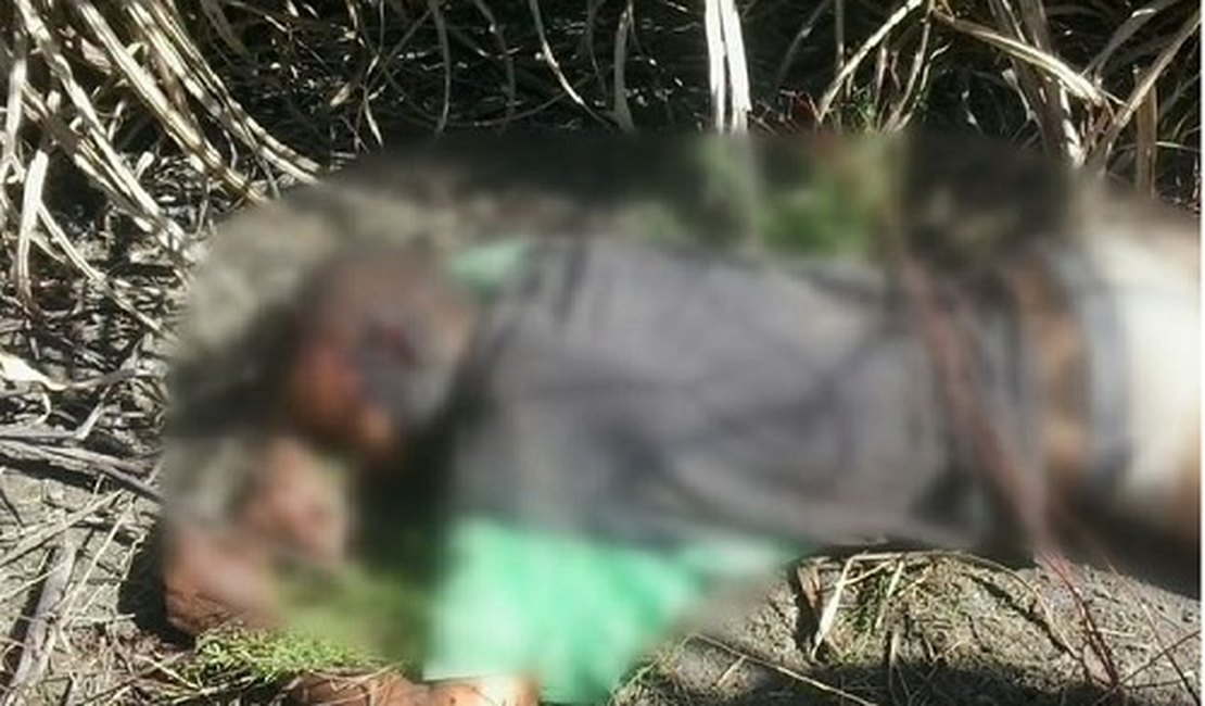 Corpo de adolescente é encontrado por populares em canavial