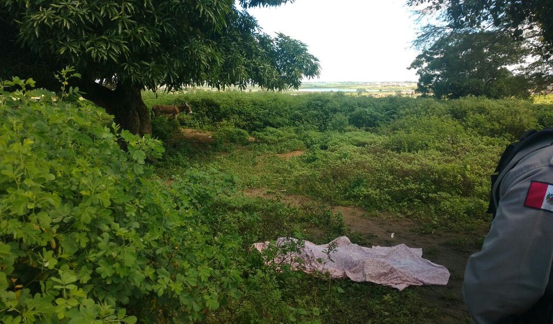 Homem é assassinado a tiros e corpo é encontrado em matagal, em Arapiraca