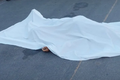 Sargento reformado da PM de Alagoas é morto em suposta tentativa de assalto em Maceió
