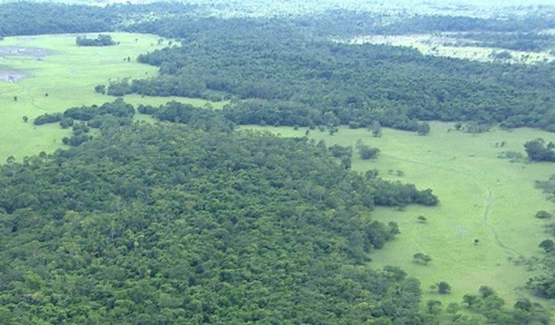 Governo volta atrás e revoga decreto que extinguia Reserva Nacional