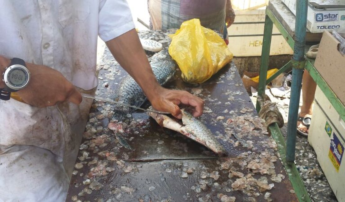 Consumidores reclamam da alta dos preços dos peixes nas feiras de Arapiraca