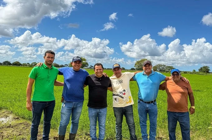 Após cerca de 20 anos, agricultores da Ponta Mofina em Penedo voltam a plantar arroz