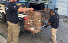 Polícia Civil fecha o cerco contra o crime organizado e prende acusados de diversos delitos