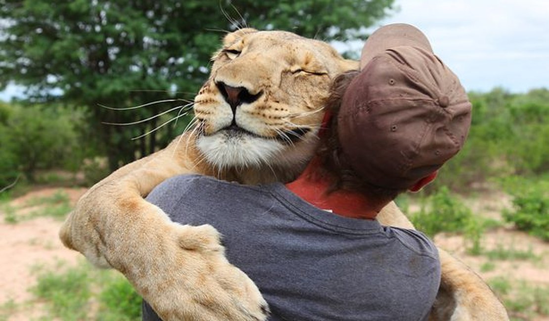 Abraço de leoa em homem que a salvou comove o mundo e se torna documentário