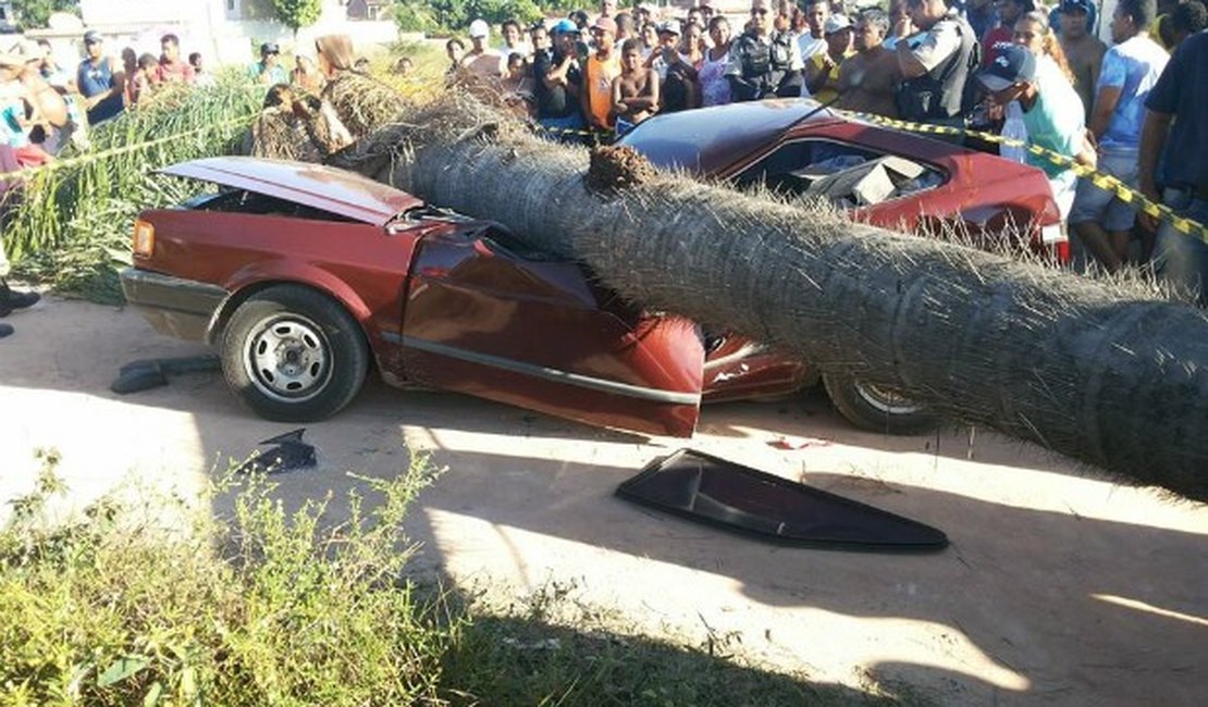 Árvore cai sobre carro e mata turista em Maragogi