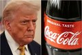 Coca-cola anuncia que vai criar versão da bebida adoçada com açúcar após pressão de Trump