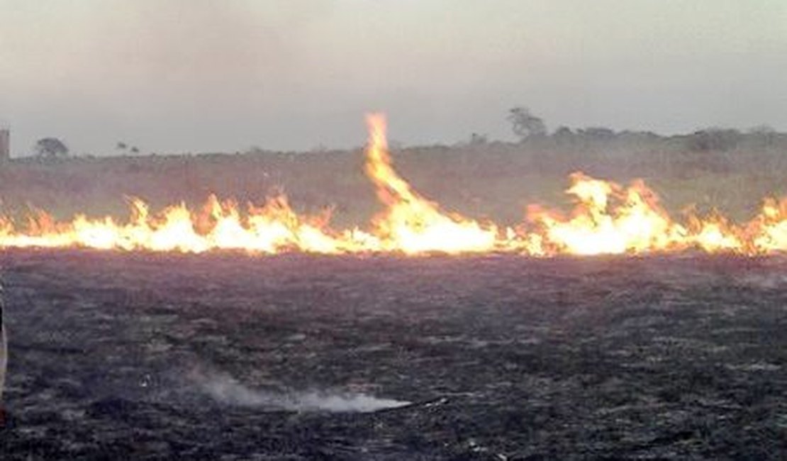 Corpo de Bombeiros Militar alerta a população de Arapiraca e região sobre os riscos das queimadas