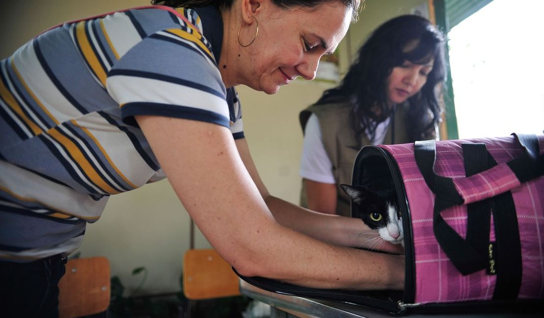 Pesquisa investiga transmissão de covid-19 entre homens e animais