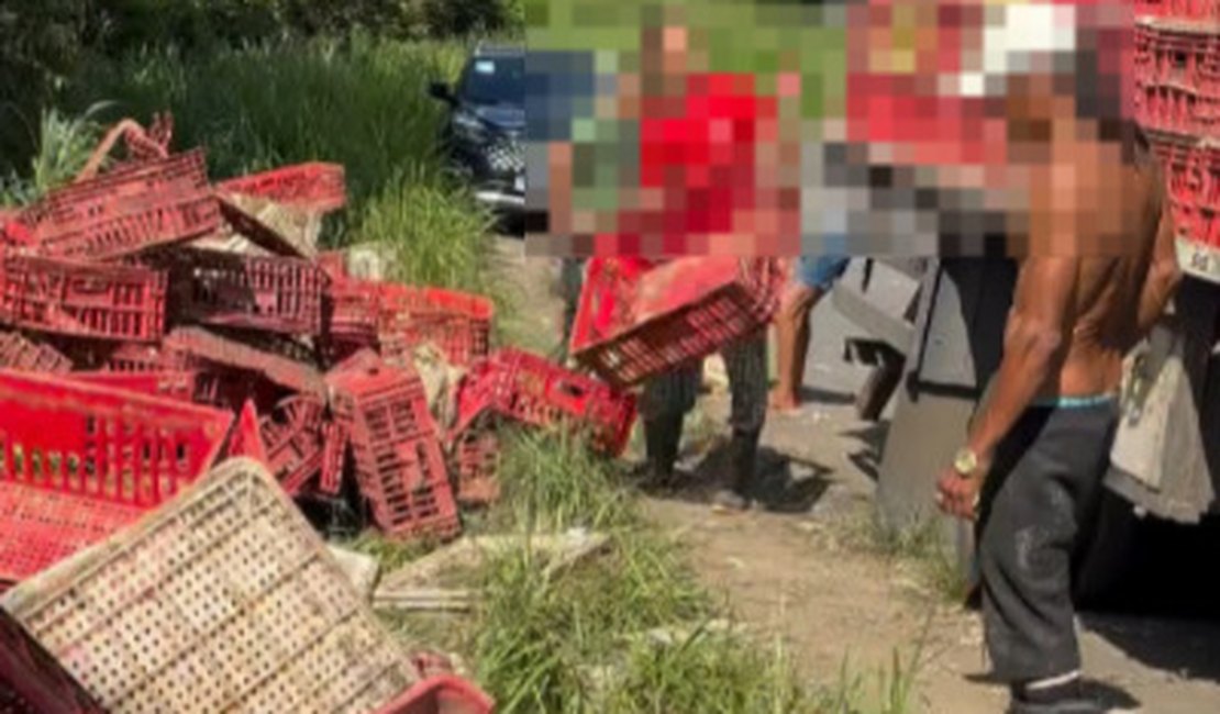 Caminhão com carga de frangos vivos tomba na AL-210, em Viçosa