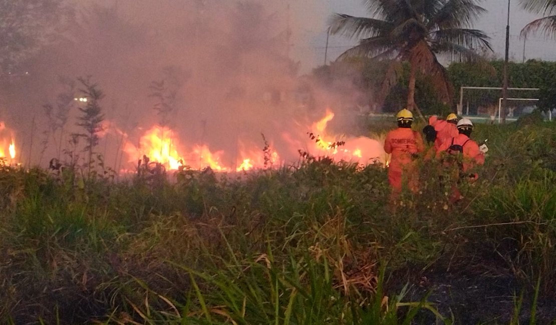 Vídeo. Incêndio de grandes proporções em vegetação assusta populares em bairro de Arapiraca