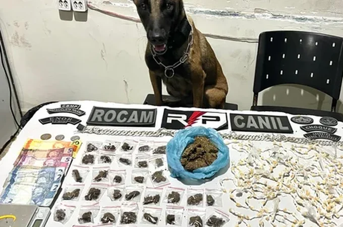 Homem é preso por tráfico após cão farejador localizar drogas em residência em Arapiraca