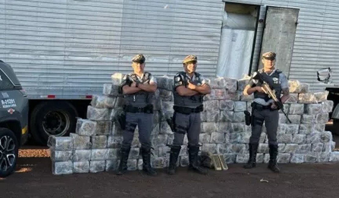 Polícia apreende mais de uma tonelada de maconha no interior de SP
