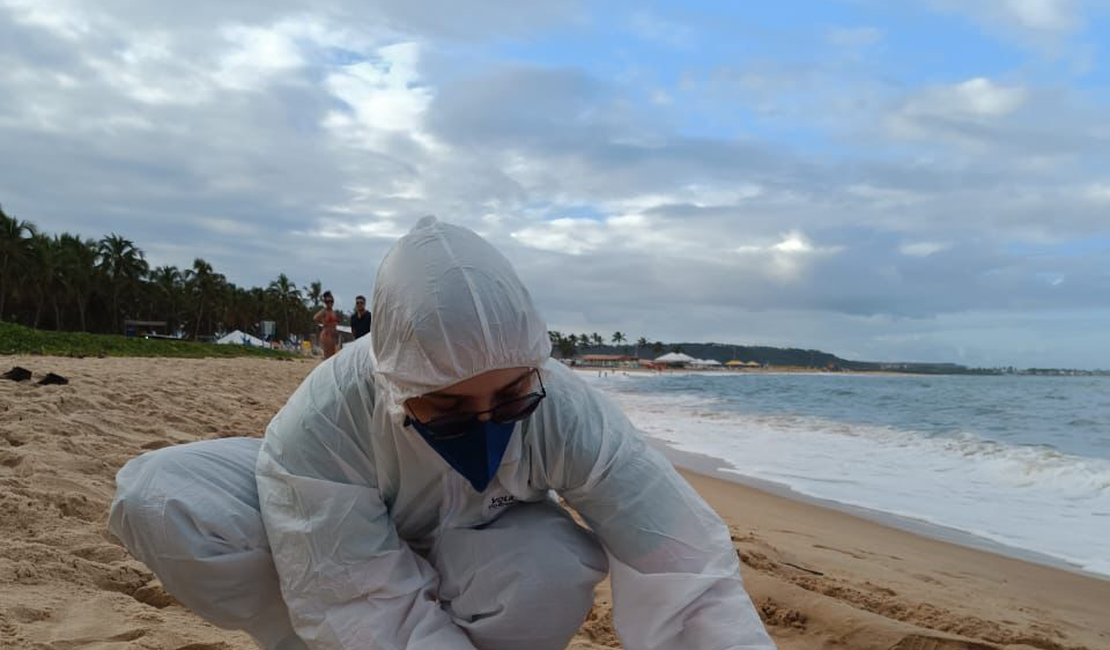 Pinguim é encontrado na Praia do Gunga, em Alagoas, e mobiliza biólogos