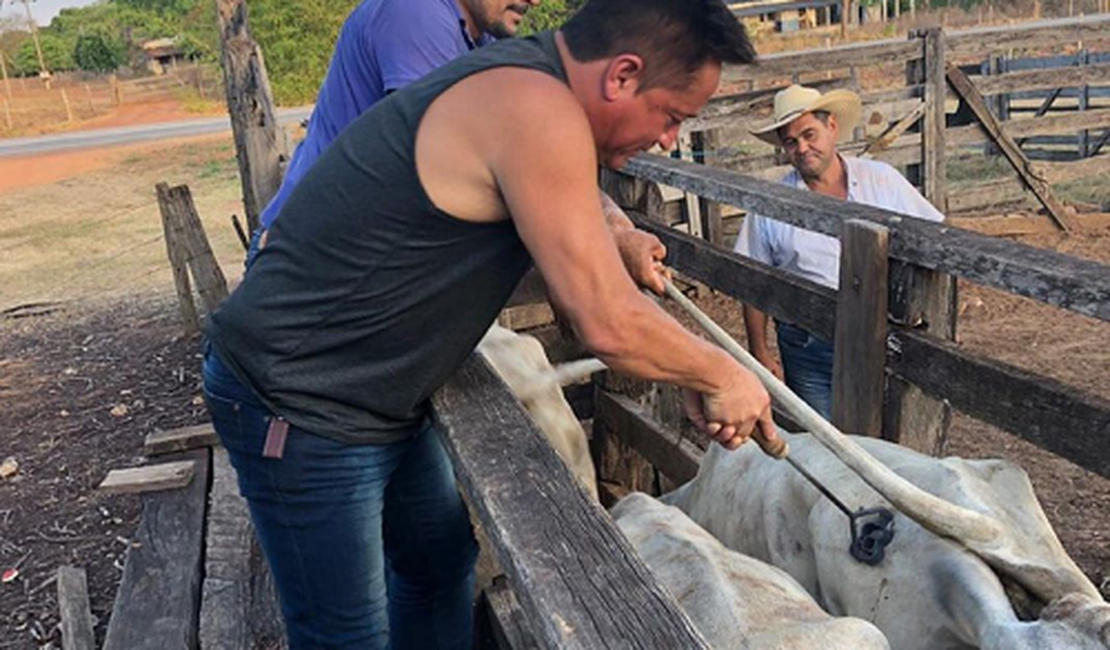 Leonardo é 'detonado' na web após publicar foto queimando animal