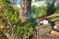 Mulher em situação de rua é encontrada morta em terreno do antigo Clube dos Fumicultores, em Arapiraca