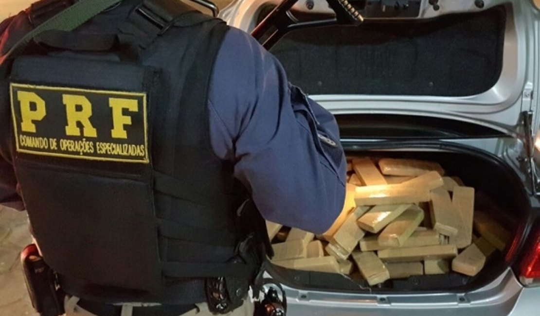 PRF apreende 150 kg de maconha em trecho da BR-101 em Rio Largo