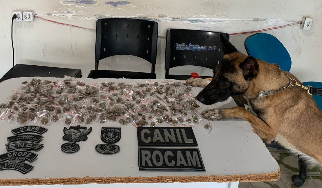 Grande quantidade de embalagens com maconha é apreendida e três homens são presos em ação da PM em Arapiraca
