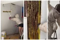 Influenciadora descobre colmeia com 80 mil abelhas e retira 22kg de Mel