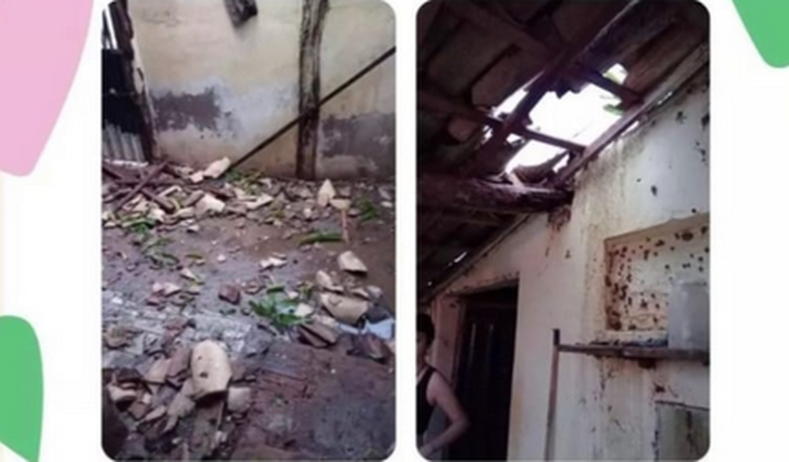 Estudante da Ufal Arapiraca pede ajuda para reconstruir casa da família no Ceará; imóvel foi destruído após fortes chuvas