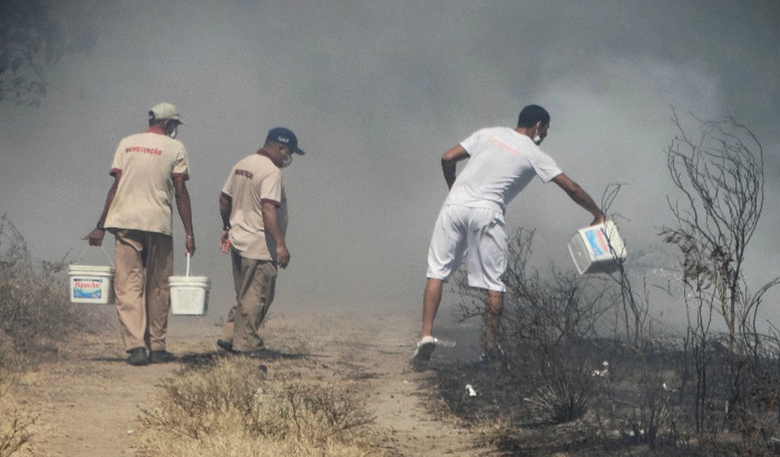 Incêndio atinge vegetação e ameaça casas, escola e lavanderia de hotel