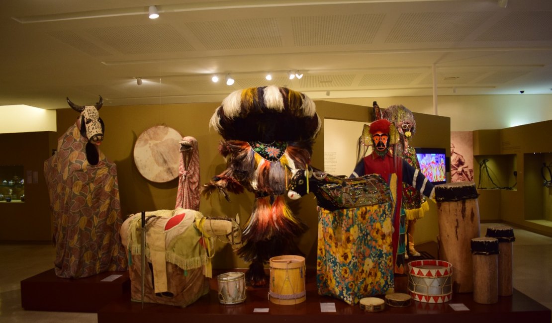 Museu do Homem do Nordeste ganha página em plataforma do Google