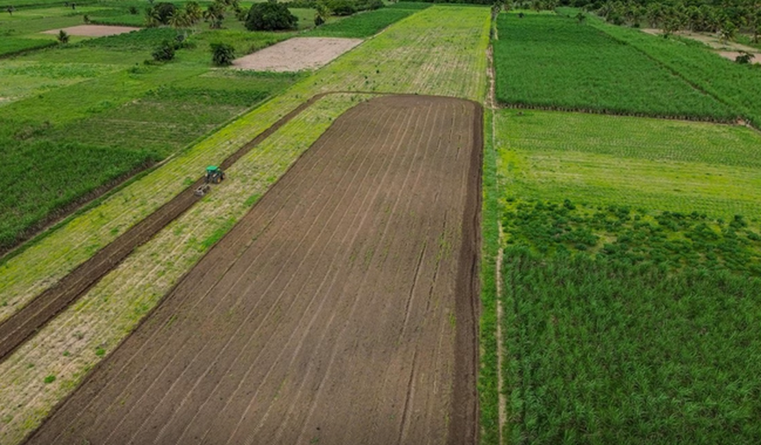 Prefeitura de Penedo e Senar capacitam mais de 60 agricultores em curso gratuito de Mecanização Agrícola