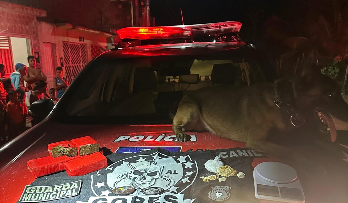 Polícia Militar prende chefe de facção criminosa no Agreste alagoano