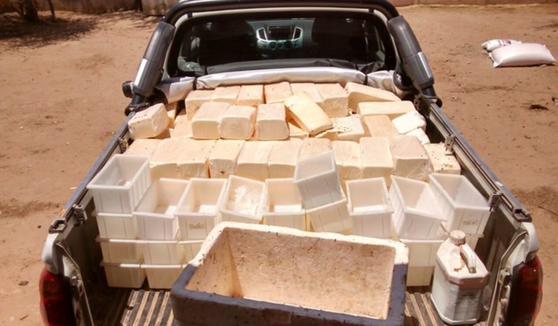 Fiscalização apreende 510 quilos de queijo em Traipu