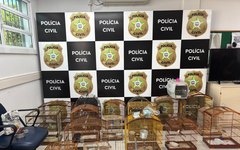 Polícia Civil fecha o cerco contra o crime organizado e prende acusados de diversos delitos