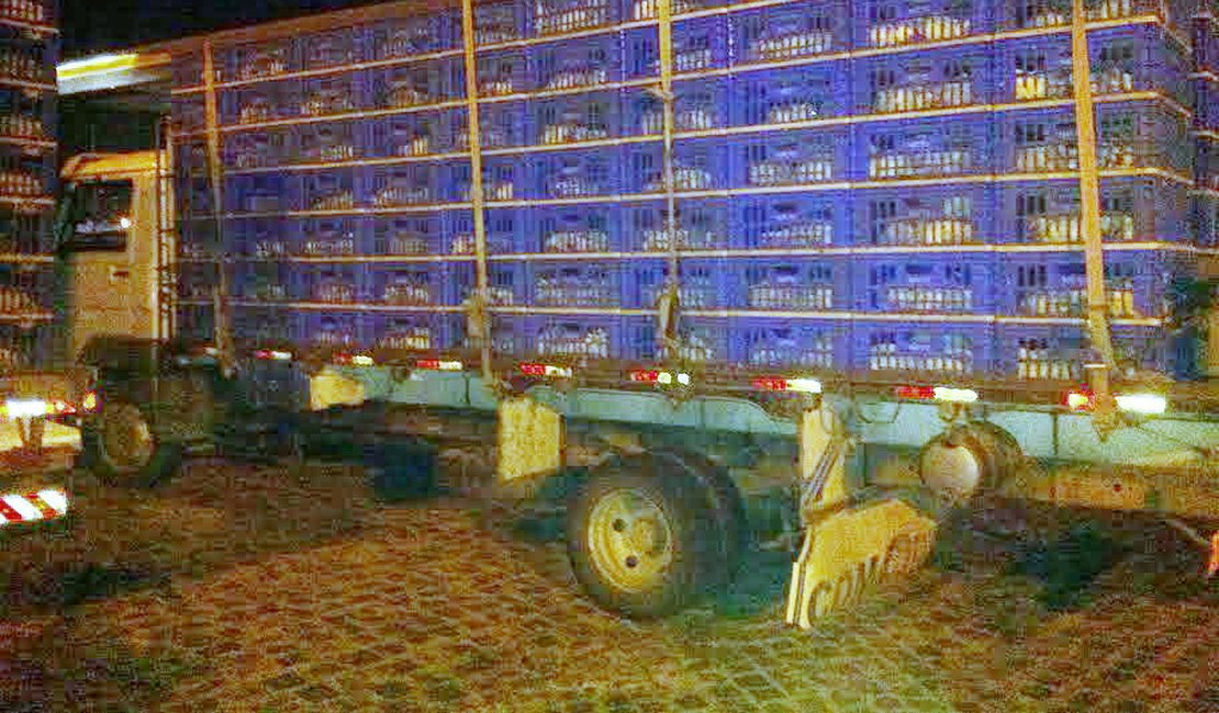 Fiscalização da Sefaz autua carregamento clandestino de frango