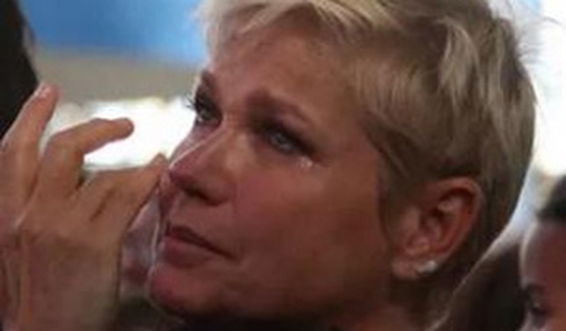 Marcos Mion substituirá Xuxa em seu programa nesta segunda (14)