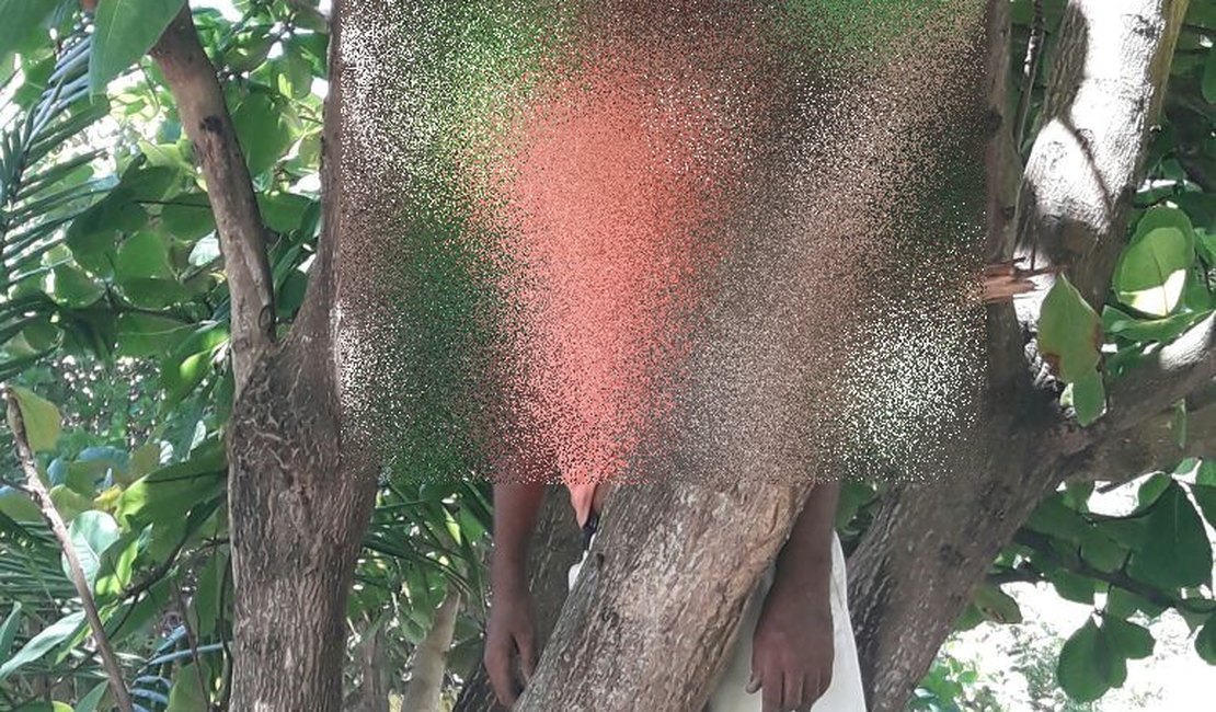 Taxista é encontrado enforcado em árvore na Barra de São Miguel