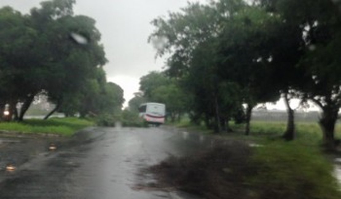 PRF alerta sobre perigo de tráfego na BR 104 na noite desta segunda-feira
