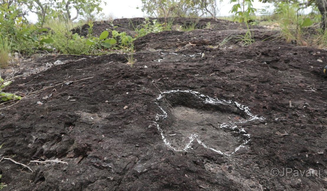 Pesquisa inédita descobre pegadas de dinossauros de mais de 100 milhões de anos na Amazônia